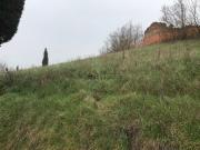 Rustici e casali in vendita di 700 m²