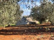 Rustici e casali in vendita di 70 m² in Contrada pane e...