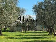 Rustici e casali in vendita di 75 m² in Via Vecchia Diso...