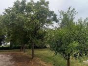 Rustici e casali in vendita di 780 m²