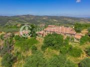 Rustici e casali in vendita di 785 m² in Via P....