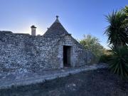 Rustici e casali in vendita di 8000 m² in Via San...