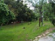 Rustici e casali in vendita di 800 m²