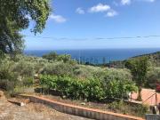 Rustici e casali in vendita di 80 m² in Strada della Ciana