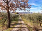 Rustici e casali in vendita di 80 m² in Strada sant&apos...