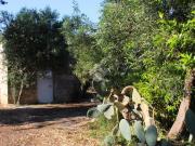 Rustici e casali in vendita di 8300 m²