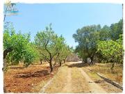 Rustici e casali in vendita di 89 m²