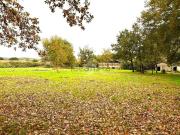 Rustici e casali in vendita di 90 m²