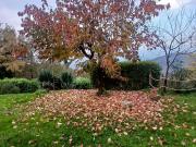 Rustici e casali in vendita di 90 m² in Località Cistio, 59