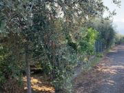 Rustici e casali in vendita di 90 m² in Via Affitto Manitta