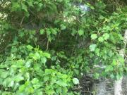 Rustici e casali in vendita di 90 m² in Via Trepexi