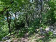 Rustici e casali in vendita di 96 m² in Via Grumelduro