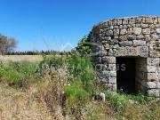 Rustici e casali in vendita di 9820 m²