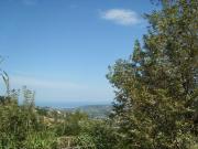 Rustico 8 vani 210mq