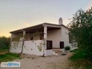 Rustico arredato con terrazzo Centro