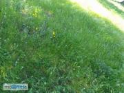 Rustico arredato Ostuni