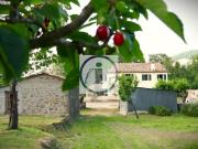 Rustico / Casale 9 locali Rif. 202515