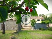 Rustico / Casale 9 vani 339mq