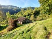 Rustico / Casale di 1115 m con 3 locali in vendita a...