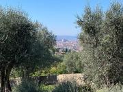 Rustico / Casale in affitto a Firenze FI