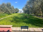 Rustico / Casale in affitto a Firenze FI