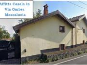 Rustico / Casale in affitto a Mascalucia CT