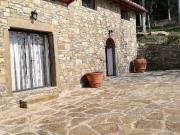 Rustico / Casale in affitto a Pelago FI