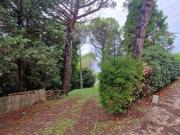 Rustico / Casale in affitto a San Miniato PI