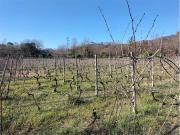 Rustico / Casale in vendita a Albenga SV