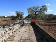 Rustico / Casale in vendita a Alberobello BA