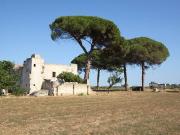 Rustico / Casale in vendita a Alezio LE