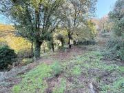 Rustico / Casale in vendita a Allumiere RM