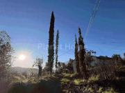 Rustico / Casale in vendita a Amelia TR