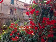 Rustico / Casale in vendita a Andora SV