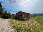 Rustico / Casale in vendita a Anghiari AR