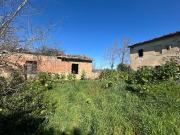 Rustico / Casale in vendita a Asciano SI