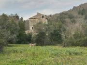 Rustico / Casale in vendita a Ausonia FR