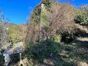 Rustico / Casale in vendita a Avegno GE