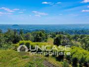 Rustico / Casale in vendita a Bagnolo Piemonte CN