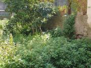 Rustico / Casale in vendita a Belpasso CT