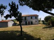 Rustico / Casale in vendita a Belvedere Ostrense AN