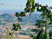 Rustico / Casale in vendita a Bergamo BG