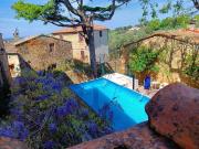 Rustico / Casale in vendita a Bibbona LI