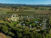 Rustico / Casale in vendita a Bibbona LI