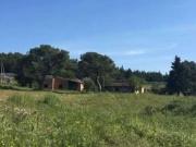 Rustico / Casale in vendita a Bitonto BA