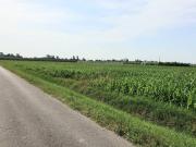 Rustico / Casale in vendita a Bomporto MO