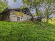 Rustico / Casale in vendita a Borgo Lares TN