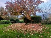 Rustico / Casale in vendita a Borgo San Lorenzo FI