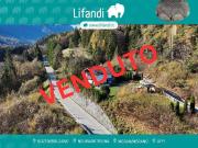 Rustico / Casale in vendita a Borgo Valsugana TN