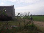 Rustico / Casale in vendita a Bovolone VR